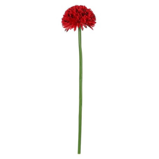 Vitale Kırmızı Kadife Çiçeği 62 cm AK.BG0120-K