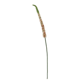 Vitale Çalı Sazı Çiçeği 70 cm AK.BG0130-T